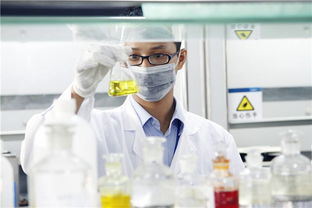 新高考“3+1+2”模式下，選定物理或歷史后，剩余兩科如何科學抉擇？—— 一份全面的信息咨詢服務指南